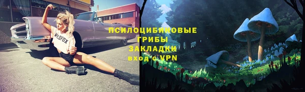 эйфоретик Аркадак