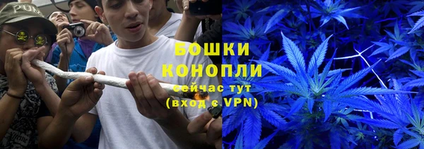 эйфоретик Аркадак