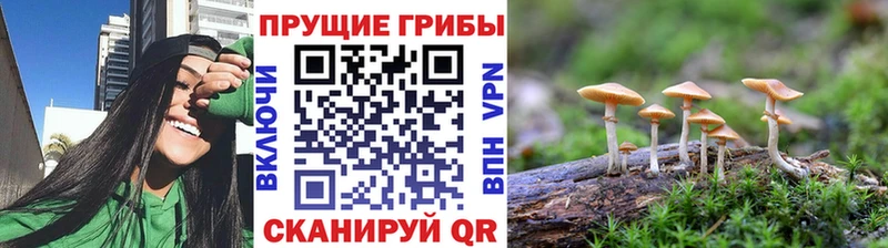 сайты даркнета как зайти Тейково Галлюциногенные грибы прущие грибы